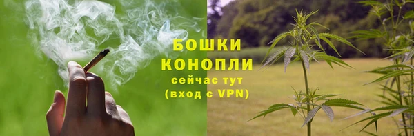 стафф Верхний Тагил