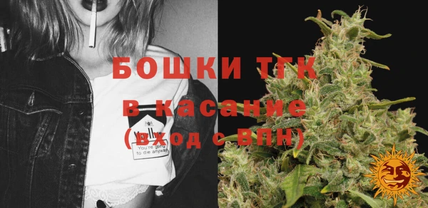 стафф Верхний Тагил